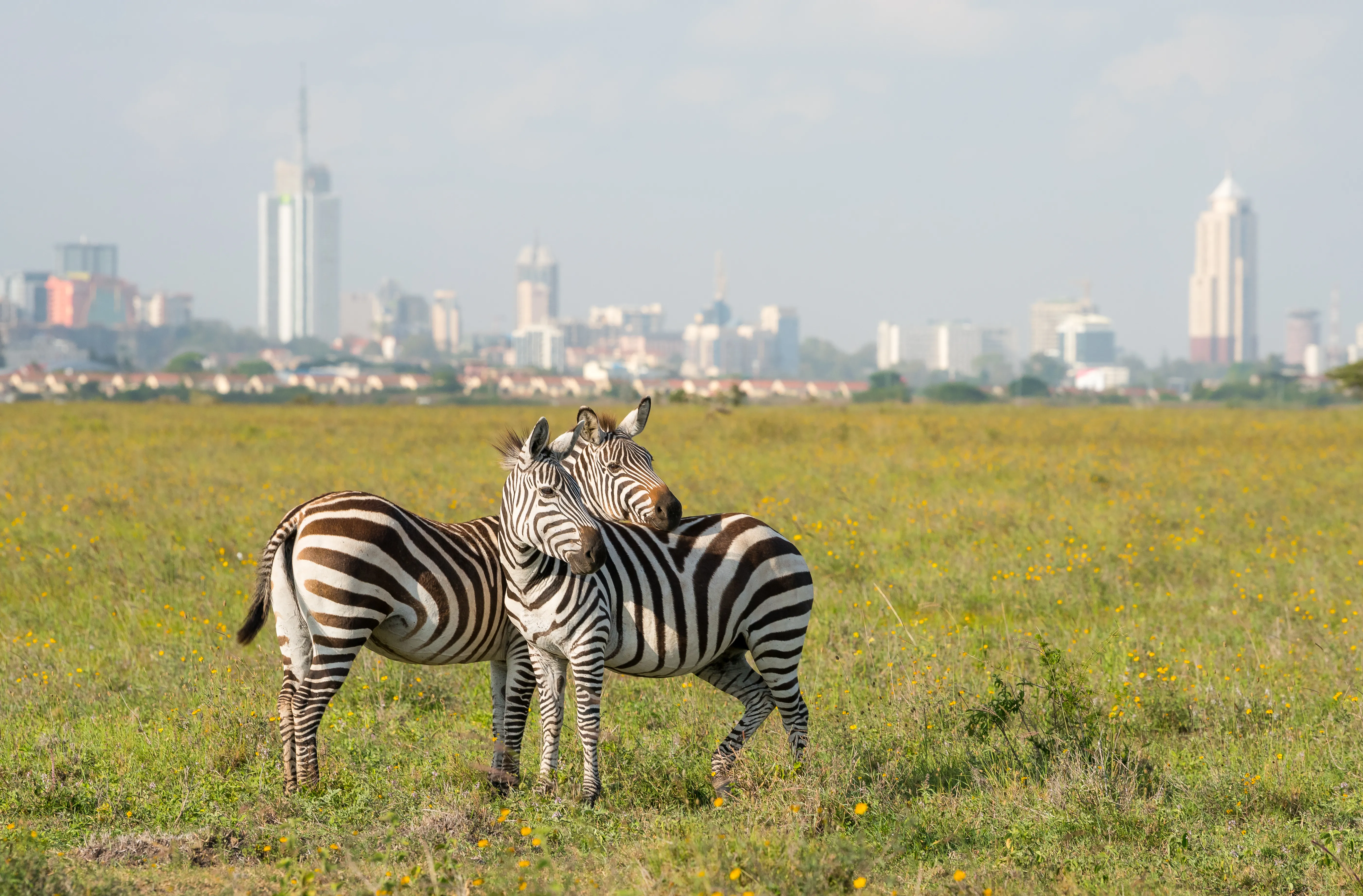 Visum Kenya